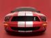 Shelby Shelby Cobra GT500 Picture #3